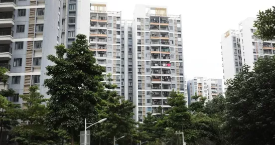 东莞雅园新村